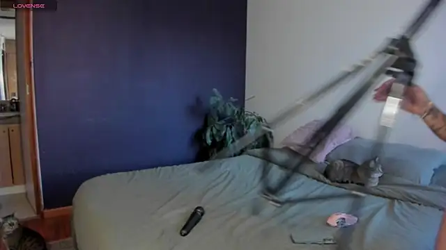 jossephine  online show from 13, 7, 2026