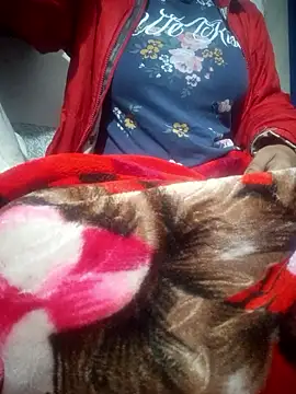 SassyDiy online show from 13, 1, 2026