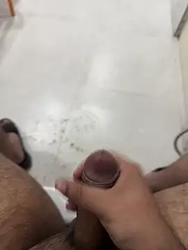 Noavacado  online show from 13, 12, 2025