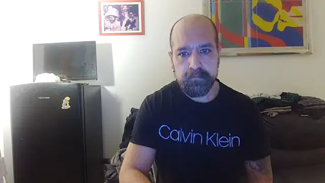 AMIRDIB2025 online show from 20, 4, 2026