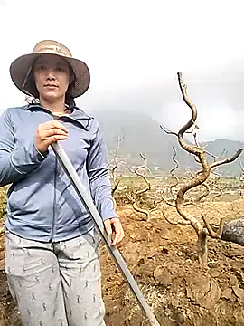 Alibabapi online show from 25, 3, 2026