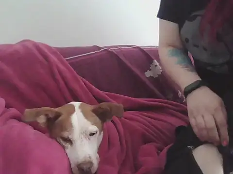 Snapshot of Darkytah chatting on 20, 2, 2026 Darkytah online show from 20, 2, 2026