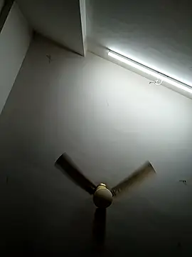 shilpa-singh online show from 25, 2, 2026