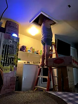  online show from 3, 12, 2025