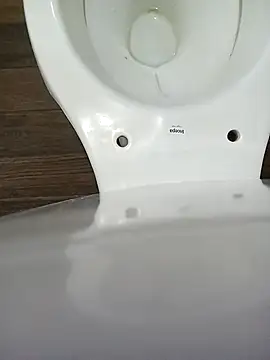 NegoPromisor online show from 3, 12, 2025