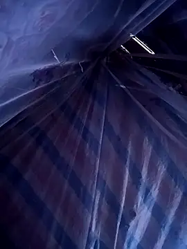 ava-dellght online show from 14, 4, 2026