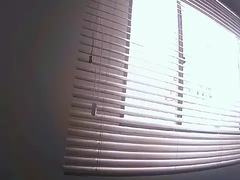 Fernanda andrew online show from 25, 3, 2026