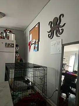 alluringpixie online show from 22, 3, 2026