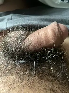 Snapshot of hairylittledic chatting on 1, 6, 2026 hairylittledic online show from 1, 6, 2026