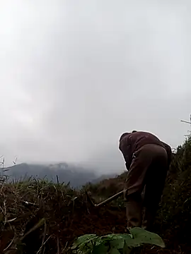 mon-monk online show from 17, 12, 2025