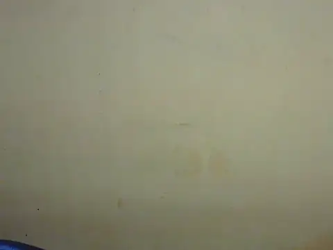 Exotic tanvi online show from 19, 2, 2026