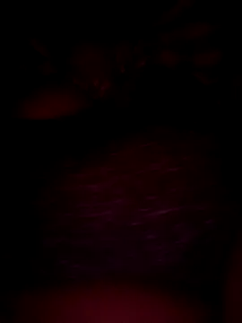 Snapshot of pihuu1313 chatting on 20, 2, 2026 pihuu1313 online show from 20, 2, 2026