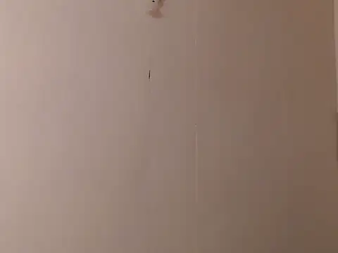 camelastarsairo online show from 31, 3, 2026