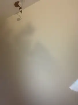 Lena-Williamss online show from 25, 4, 2026