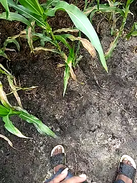 Snapshot of loki-king-143 chatting on 24, 2, 2026 loki-king-143 online show from 24, 2, 2026