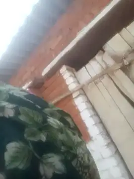 Pinki rajak online show from 24, 4, 2026