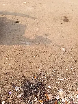 punecouplegroup online show from 7, 2, 2026