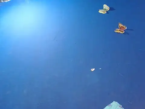 Snapshot of sk8-boy chatting on 18, 12, 2025 sk8-boy online show from 18, 12, 2025