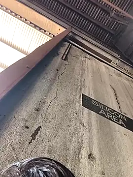 vishalk12346 online show from 12, 1, 2026