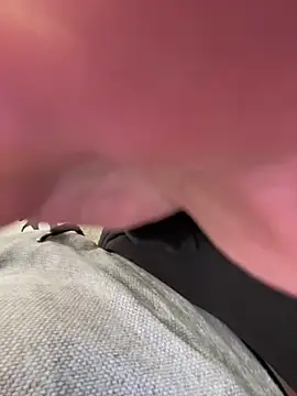 LienalWarplane online show from 9, 3, 2026