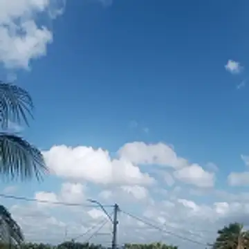 xxbucetudaxxx online show from 13, 1, 2026