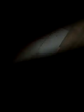 silentman777 online show from 22, 12, 2025