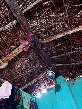 Rajni hote online show from 13, 2, 2026