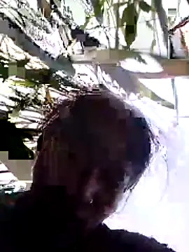 Rajni hote online show from 2, 3, 2026