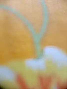 Hooghlypinkivabi online show from 20, 2, 2026