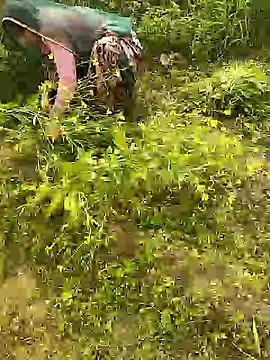 hornycouple20000 online show from 8, 1, 2026