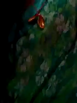 Snapshot of ramya_sri chatting on 2, 2, 2026 ramya sri online show from 2, 2, 2026