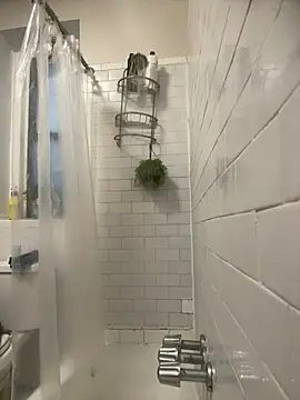 Snapshot of ElegantDic chatting on 12, 1, 2026 ElegantDic online show from 12, 1, 2026