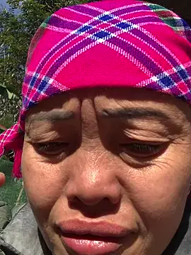 hinicky-0 online show from 9, 1, 2026