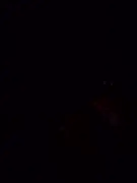 laperracobarde online show from 13, 1, 2026