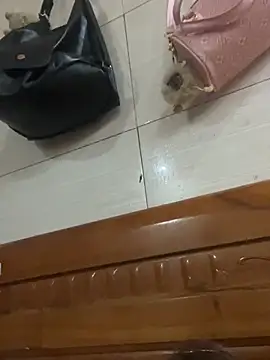 Liness101 online show from 4, 2, 2026