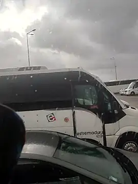 Paulopess online show from 16, 1, 2026