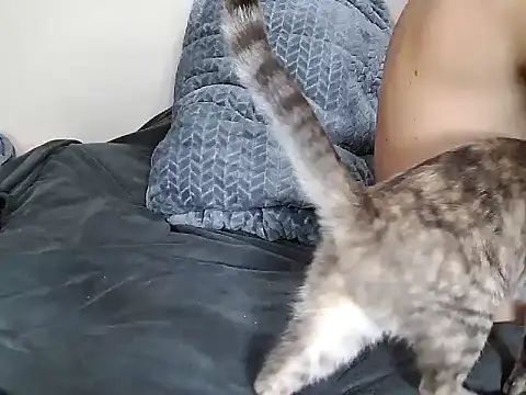 Snapshot of chris_aitrix chatting on 8, 1, 2026 chris aitrix online show from 8, 1, 2026