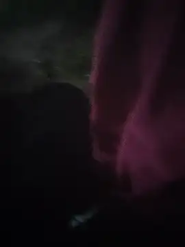 catstar143 online show from 29, 6, 2026