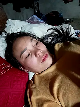 vanvan005 online show from 12, 2, 2026