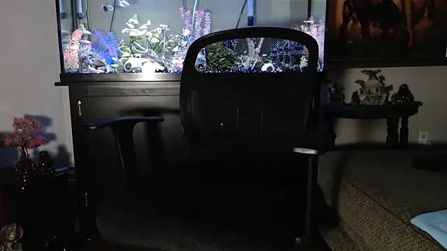 EspanolVato online show from 14, 1, 2026