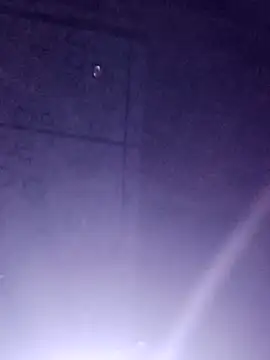 Sana-vn online show from 14, 3, 2026