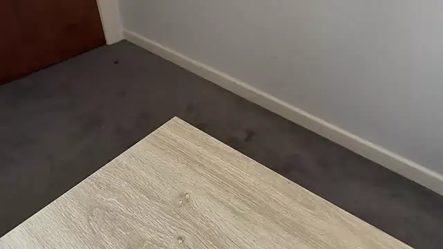 adelaide2026 online show from 2, 4, 2026