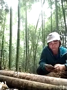 Snapshot of alycen chatting on 15, 1, 2026 alycen online show from 15, 1, 2026