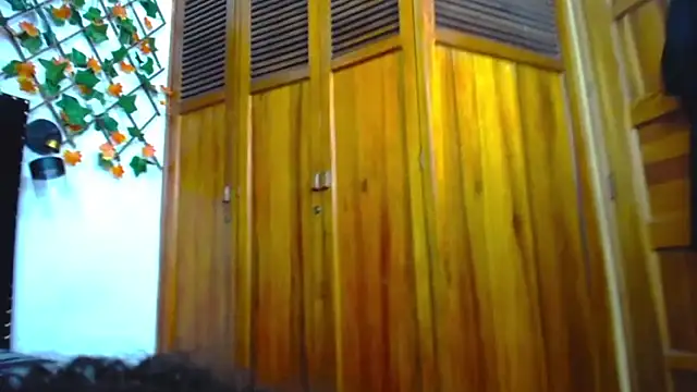 Snapshot of vsamanthaper1 chatting on 29, 3, 2026 vsamanthaper1 online show from 29, 3, 2026