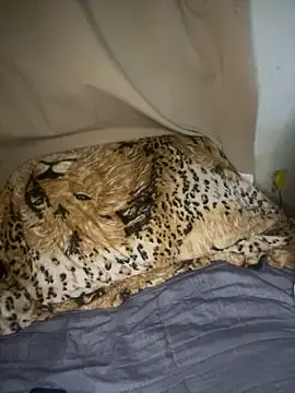 magneto01 online show from 5, 4, 2026