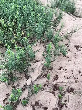 Annalua73 online show from 18, 1, 2026