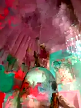 Reena lodha online show from 17, 1, 2026