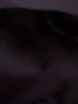 Snapshot of Di717 chatting on 23, 3, 2026 Di717 online show from 23, 3, 2026