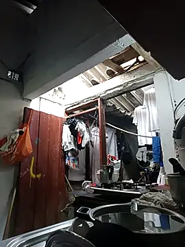 PatriciaGrajales online show from 15, 3, 2026