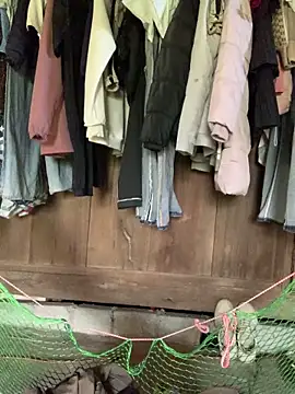 Naalyy online show from 5, 4, 2026